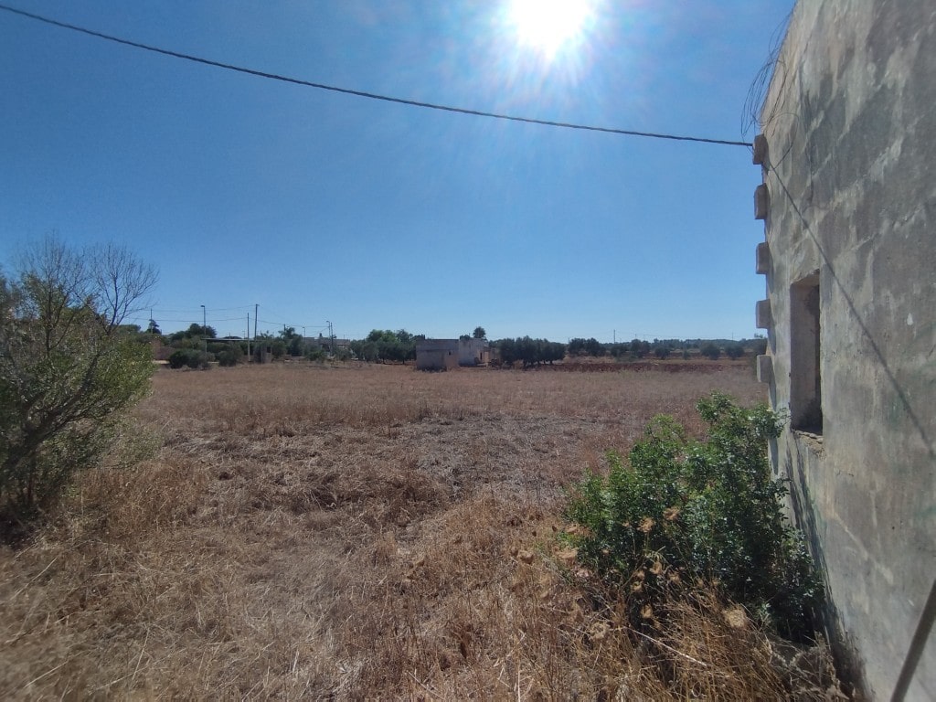 Giano Group Immobiliare